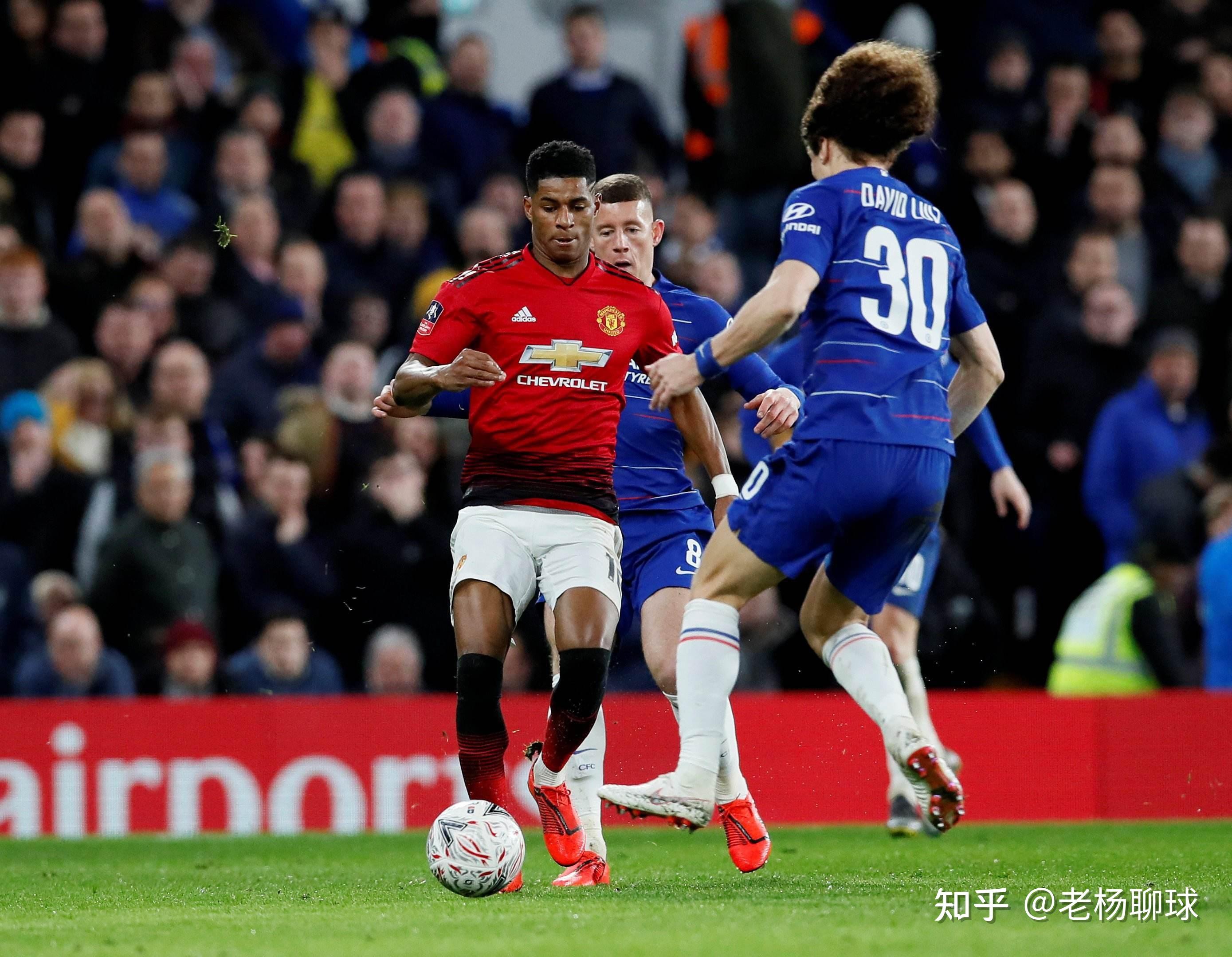 本土观众的 本土观众的