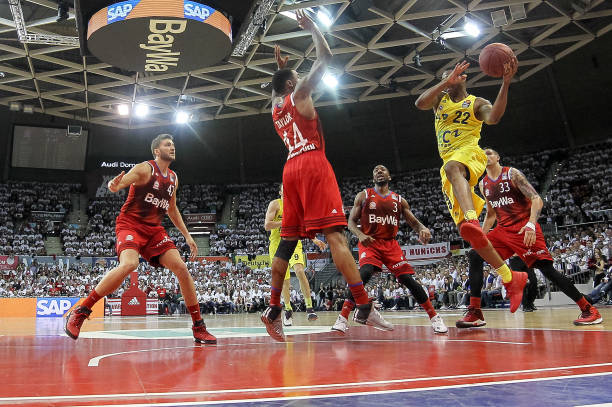 武切维奇2 武切维奇2